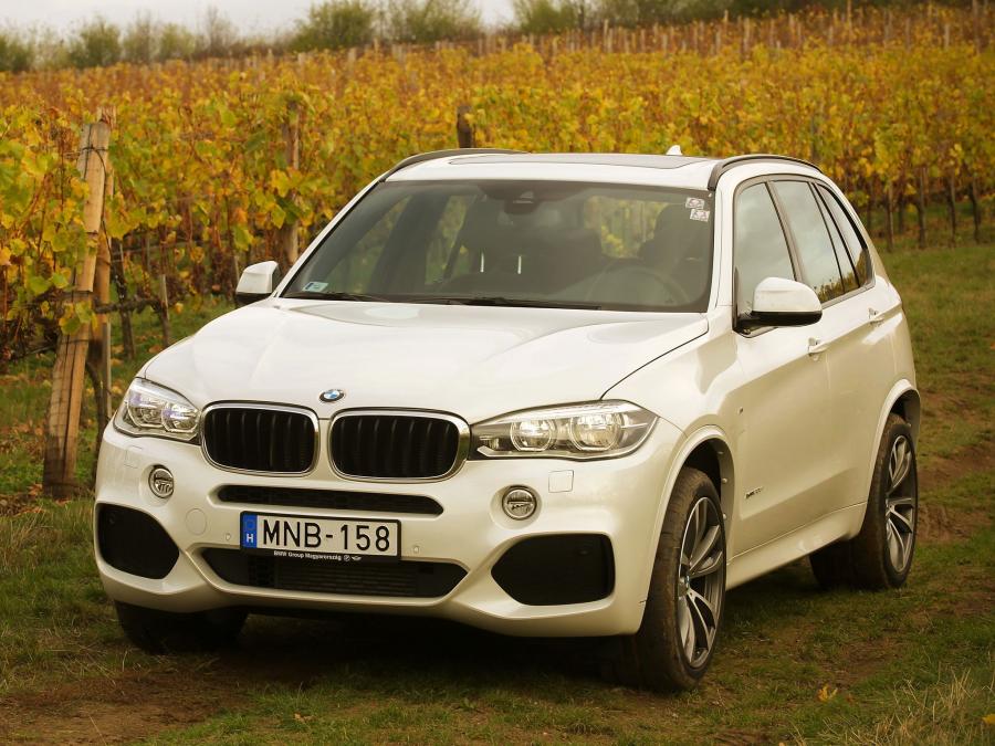  BMW X5 xDrive 3.0d M Sport Package 2013 года  (фото 6 из 10)